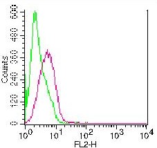 Monoclonal antibody to ICOS-ligand  (Clone: ABM5E52 )